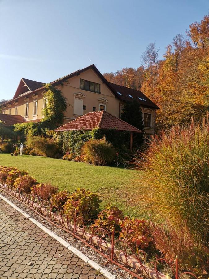 Готель Vila Cerbul Albastru Моняса Екстер'єр фото