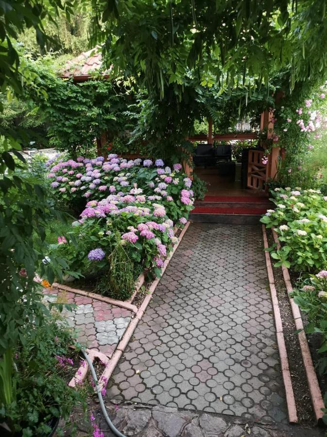 Готель Vila Cerbul Albastru Моняса Екстер'єр фото