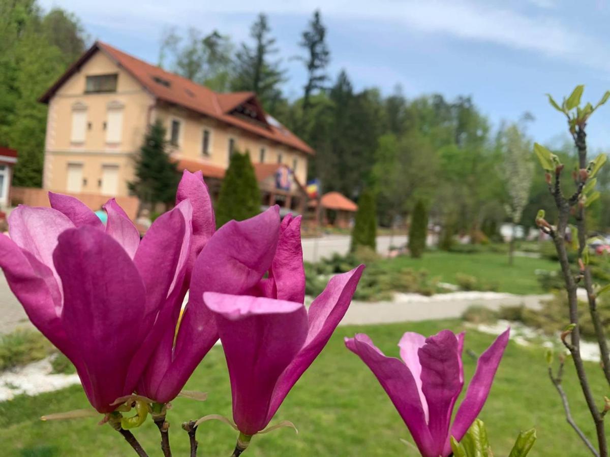 Готель Vila Cerbul Albastru Моняса Екстер'єр фото
