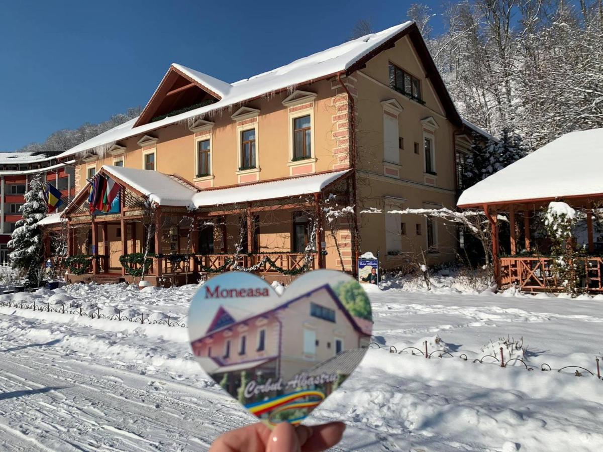 Готель Vila Cerbul Albastru Моняса Екстер'єр фото