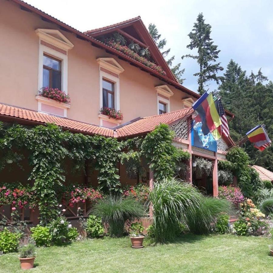 Готель Vila Cerbul Albastru Моняса Екстер'єр фото